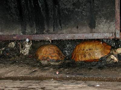 Kairen's_Tibet_38_2001-09-24 09.06.40 DSCN7142.JPG